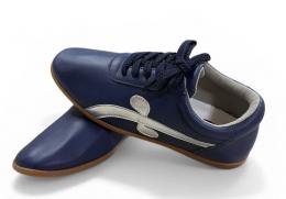 太極流水靴<紺色/シルバー>